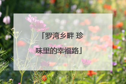 罗湾乡畔 珍味里的幸福路