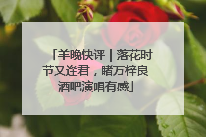 羊晚快评｜落花时节又逢君，睹万梓良酒吧演唱有感