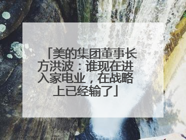 美的集团董事长方洪波：谁现在进入家电业，在战略上已经输了