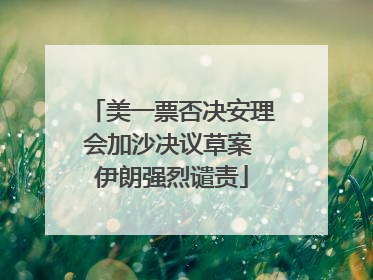 美一票否决安理会加沙决议草案 伊朗强烈谴责