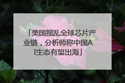美国搅乱全球芯片产业链，分析师称中国AI生态有望出海