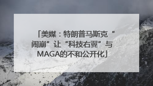 美媒：特朗普马斯克“闹崩”让“科技右翼”与MAGA的不和公开化