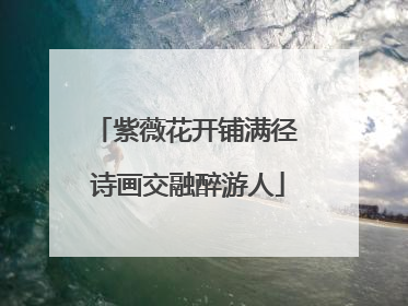 紫薇花开铺满径 诗画交融醉游人