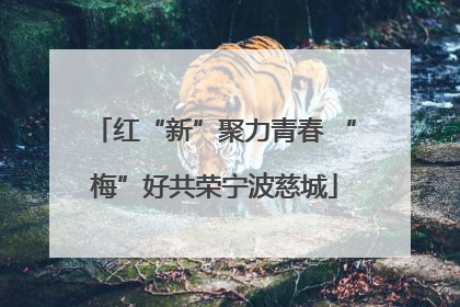 红“新”聚力青春 “梅”好共荣宁波慈城