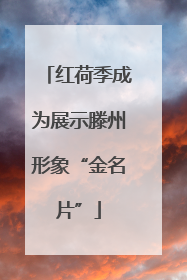 红荷季成为展示滕州形象“金名片”