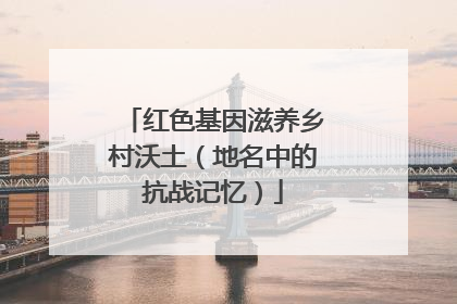 红色基因滋养乡村沃土（地名中的抗战记忆）