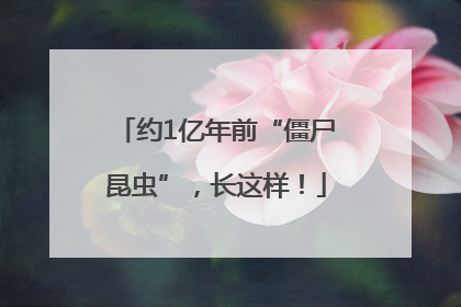 约1亿年前“僵尸昆虫”，长这样！