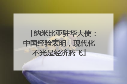 纳米比亚驻华大使：中国经验表明，现代化不光是经济腾飞