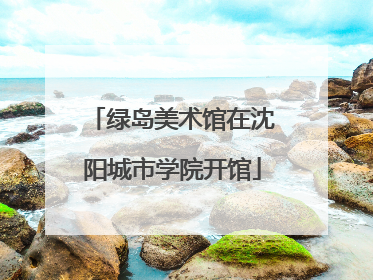 绿岛美术馆在沈阳城市学院开馆