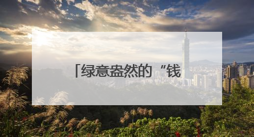 绿意盎然的“钱袋子”:高原夏菜成富民产业
