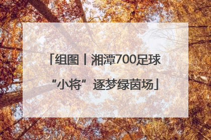 组图丨湘潭700足球“小将”逐梦绿茵场