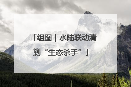 组图｜水陆联动清剿“生态杀手”