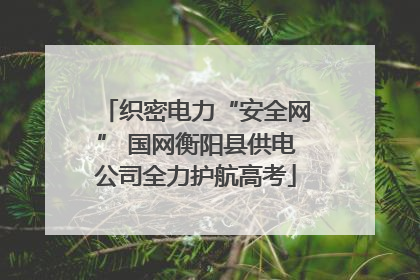 织密电力“安全网” 国网衡阳县供电公司全力护航高考