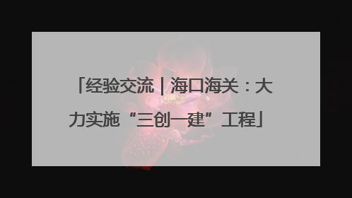 经验交流｜海口海关：大力实施“三创一建”工程