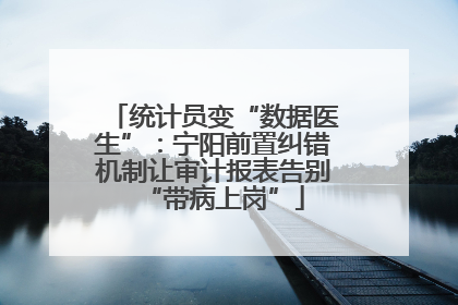 统计员变“数据医生”：宁阳前置纠错机制让审计报表告别“带病上岗”