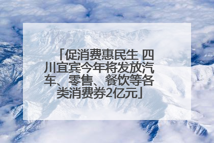 促消费惠民生 四川宜宾今年将发放汽车、零售、餐饮等各类消费券2亿元