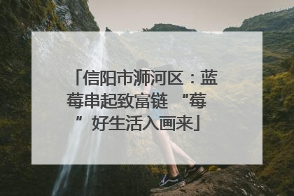 信阳市浉河区：蓝莓串起致富链 “莓”好生活入画来