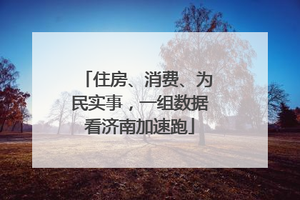 住房、消费、为民实事，一组数据看济南加速跑