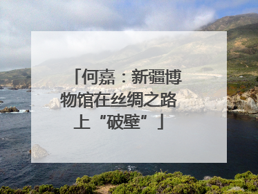 何嘉：新疆博物馆在丝绸之路上“破壁”