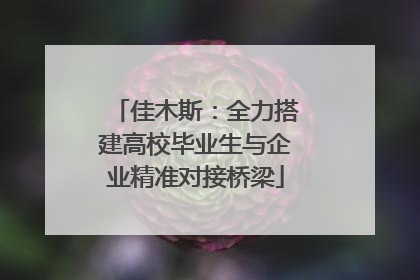佳木斯：全力搭建高校毕业生与企业精准对接桥梁