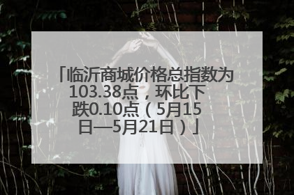 临沂商城价格总指数为103.38点，环比下跌0.10点（5月15日—5月21日）