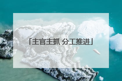 主官主抓 分工推进