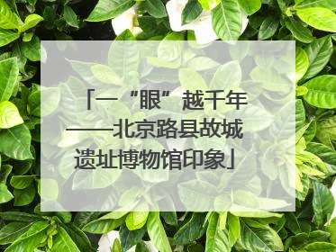 一“眼”越千年——北京路县故城遗址博物馆印象