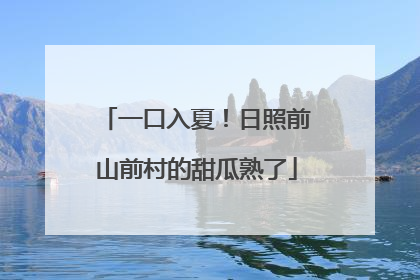 一口入夏！日照前山前村的甜瓜熟了