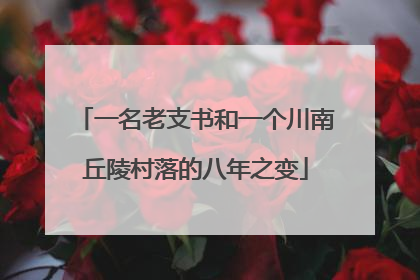 一名老支书和一个川南丘陵村落的八年之变