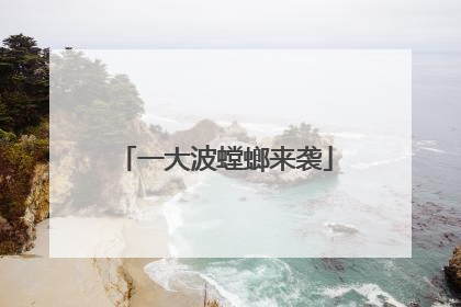 一大波螳螂来袭
