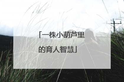 一株小葫芦里的育人智慧