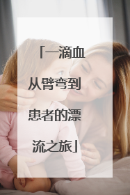一滴血从臂弯到患者的漂流之旅