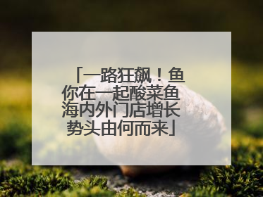 一路狂飙！鱼你在一起酸菜鱼海内外门店增长势头由何而来