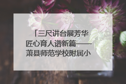 三尺讲台展芳华 匠心育人谱新篇——萧县师范学校附属小学第十三届班主任基本功大赛圆满举办
