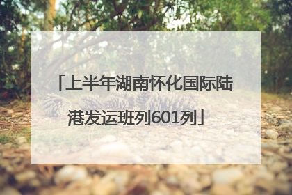 上半年湖南怀化国际陆港发运班列601列