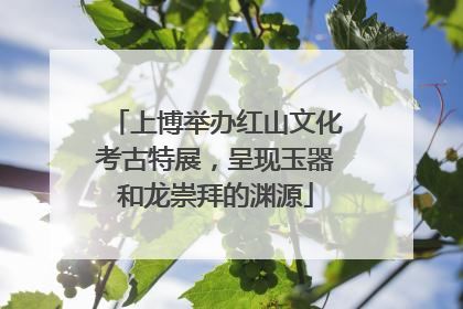 上博举办红山文化考古特展，呈现玉器和龙崇拜的渊源