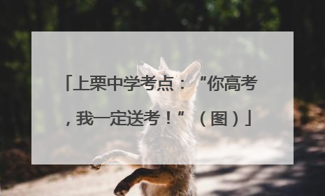 上栗中学考点：“你高考，我一定送考！”（图）