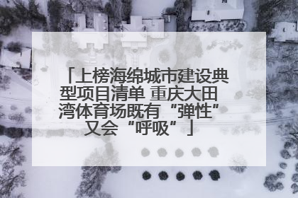上榜海绵城市建设典型项目清单 重庆大田湾体育场既有“弹性”又会“呼吸”