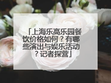 上海乐高乐园餐饮价格如何？有哪些演出与娱乐活动？记者探营