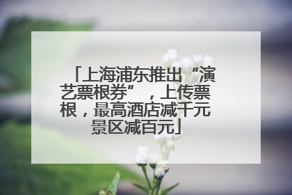 上海浦东推出“演艺票根券”，上传票根，最高酒店减千元景区减百元