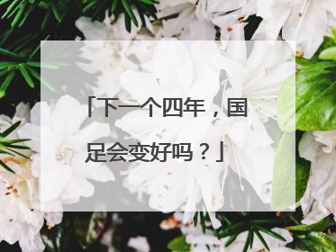 下一个四年，国足会变好吗？
