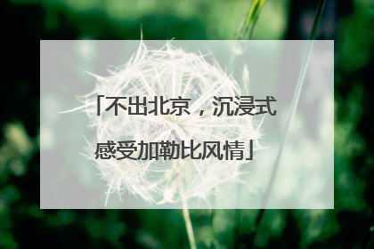 不出北京，沉浸式感受加勒比风情