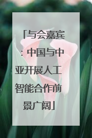 与会嘉宾：中国与中亚开展人工智能合作前景广阔