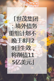 世茂集团：境外债务重组计划不晚于8月29日生效，将削债115亿美元