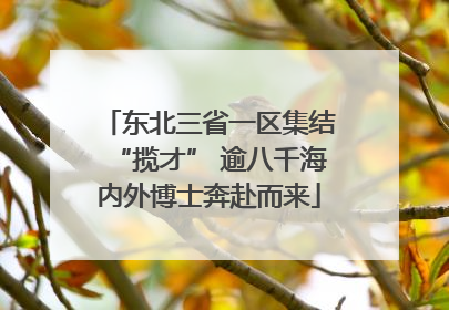 东北三省一区集结“揽才” 逾八千海内外博士奔赴而来