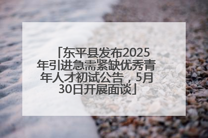 东平县发布2025年引进急需紧缺优秀青年人才初试公告，5月30日开展面谈