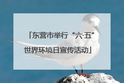 东营市举行“六·五”世界环境日宣传活动