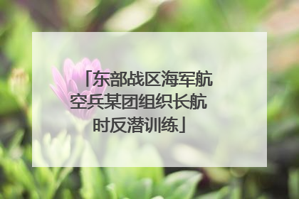 东部战区海军航空兵某团组织长航时反潜训练