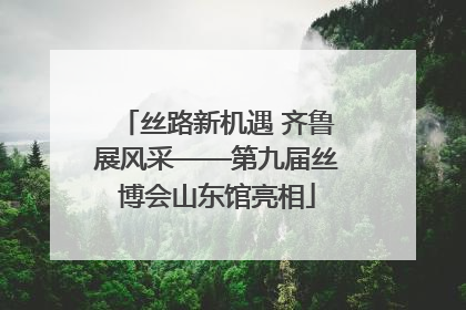 丝路新机遇 齐鲁展风采——第九届丝博会山东馆亮相