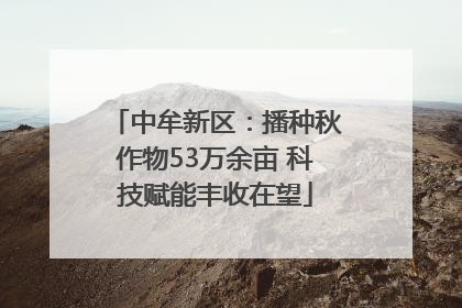 中牟新区：播种秋作物53万余亩 科技赋能丰收在望